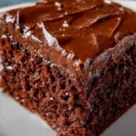 Chocolate Depression Cake