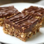 No Bake Chocolate Oat Bars